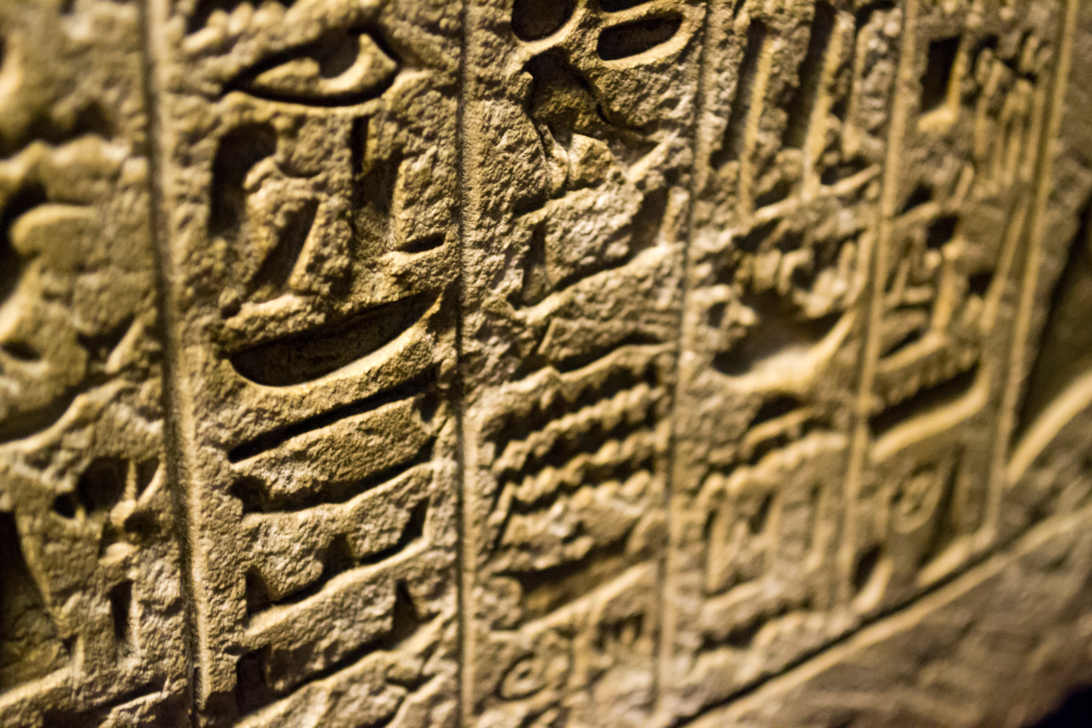 沙皇想用战争延缓帝国的灭亡，却没料到这加速了国家的变革