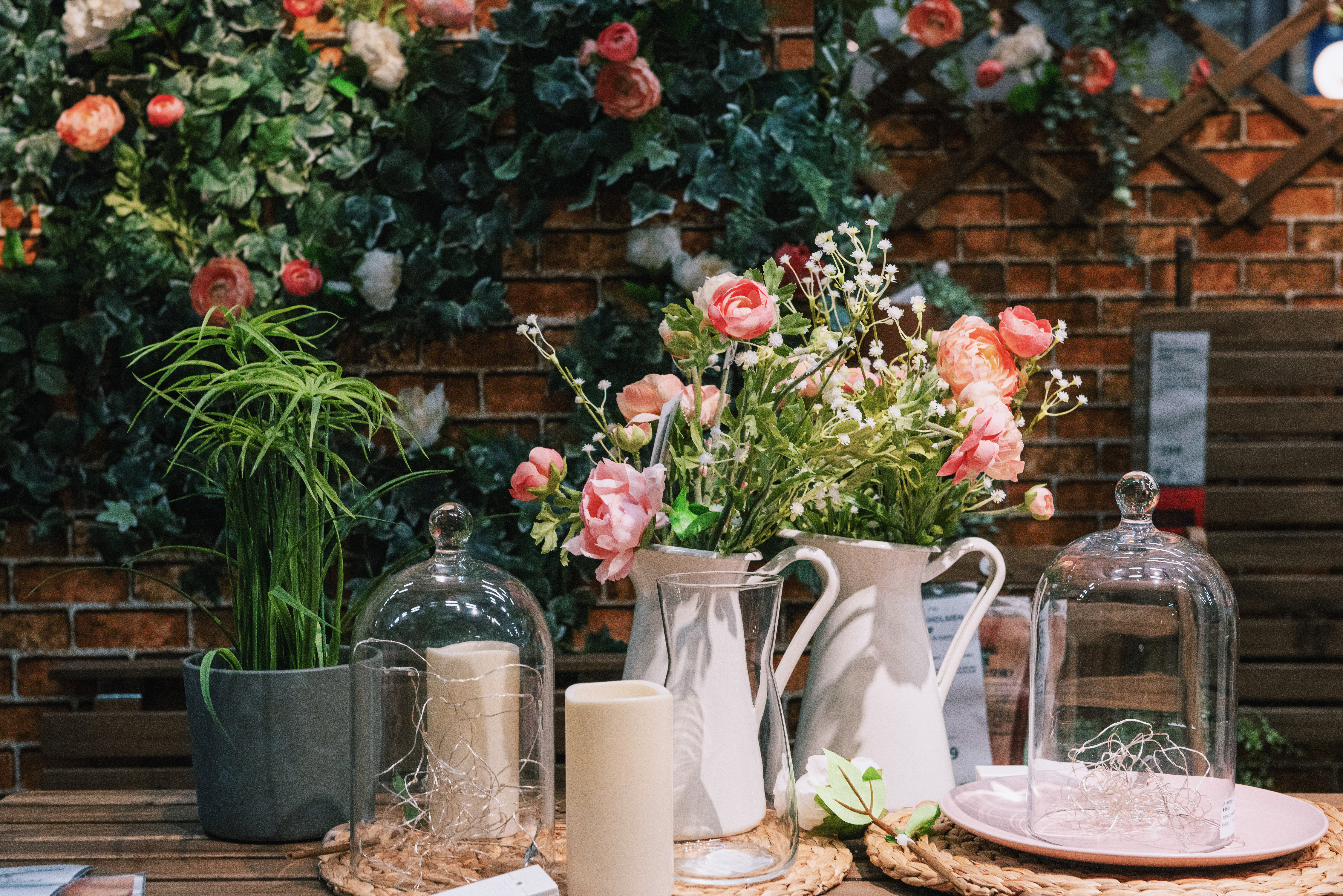 故事：孔雀开屏能人为控制吗？富商悬赏重金，找人训练孔雀