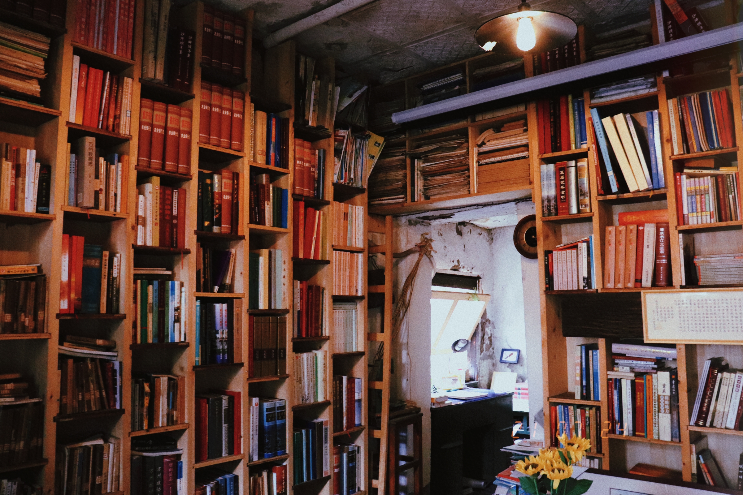 政治过程的基本单位——个体行为