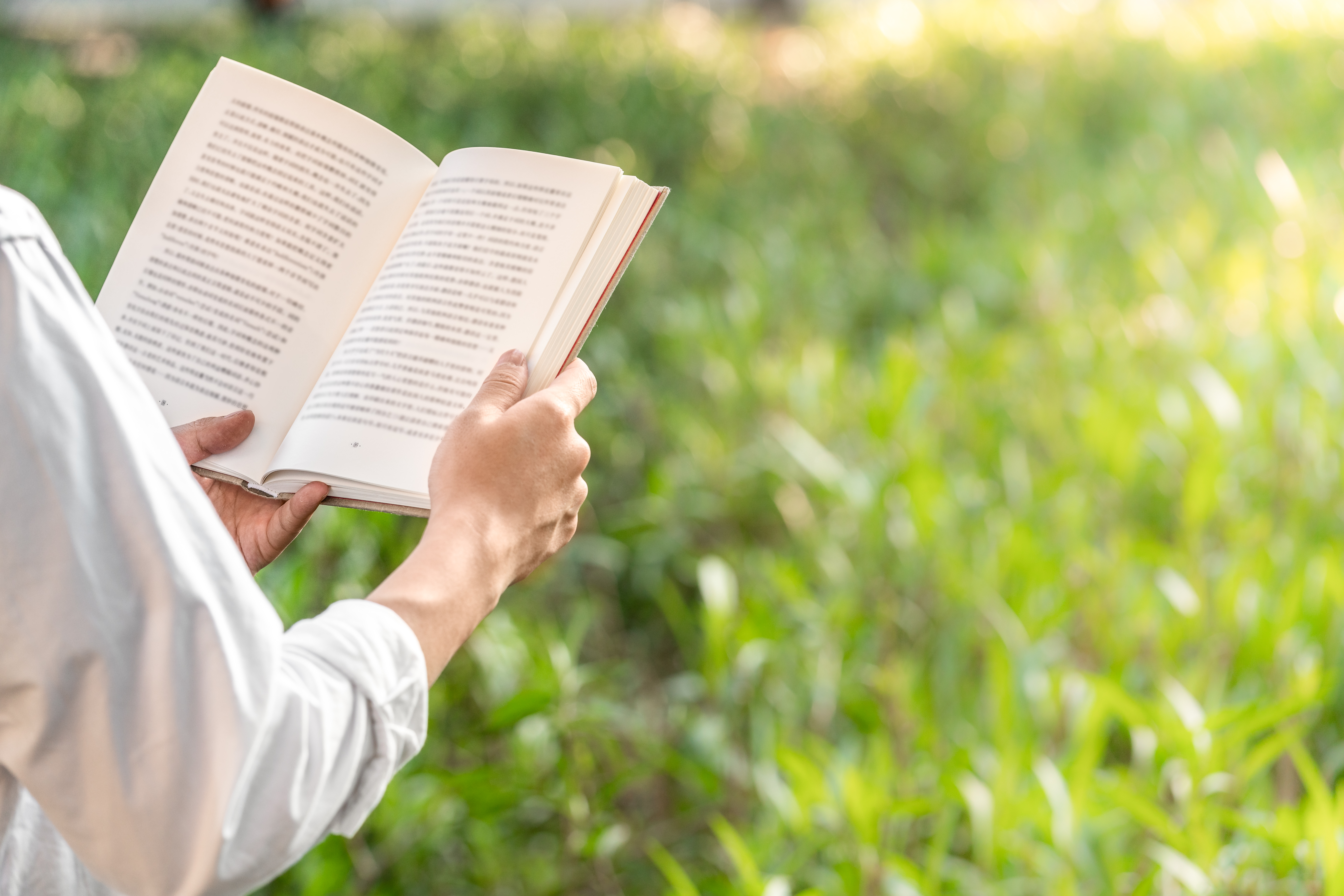 匪夷所思案件小说,离奇刑侦案小说