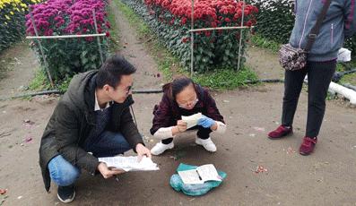 转发此推文,享绍兴平水海丰菊园半价票,更更更送自采菊花一束