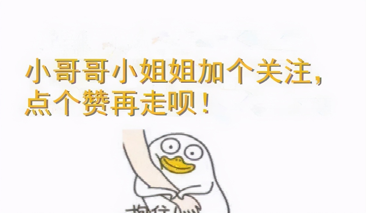 俄罗斯蓝猫有味道,俄罗斯蓝猫好玩吗