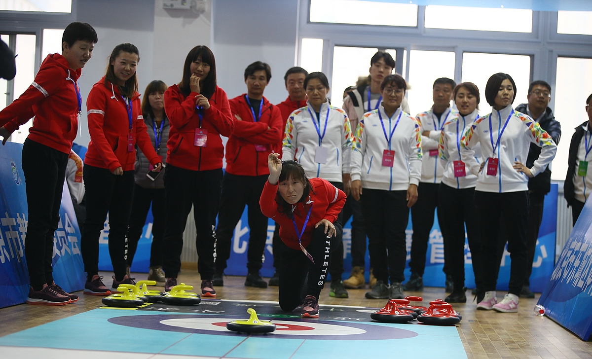 北京市第一届青少年冰壶冠军赛,北京市第一届运动会花样滑冰