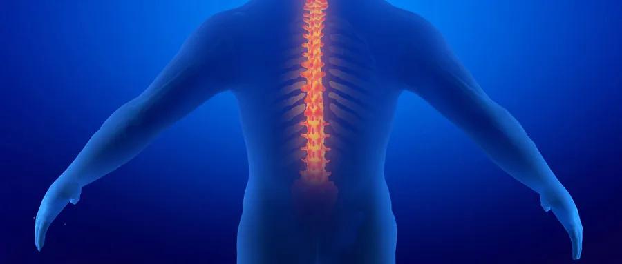 胸椎脊柱问题图解,不容忽视的肩周问题