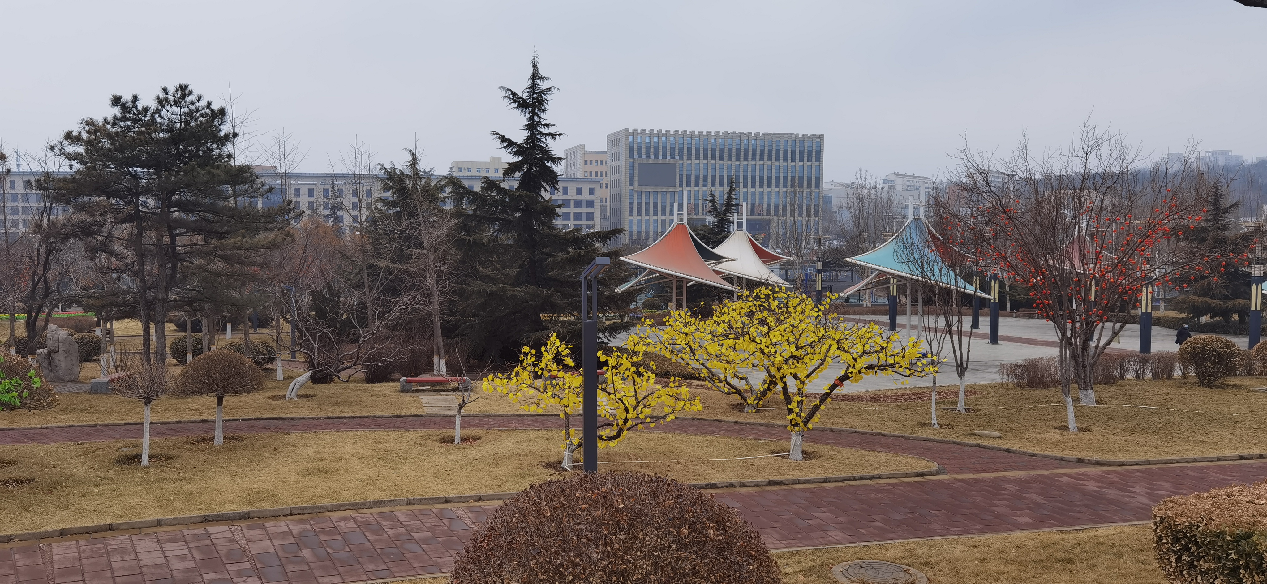 四线城市大理,大理最贵的房价是哪里