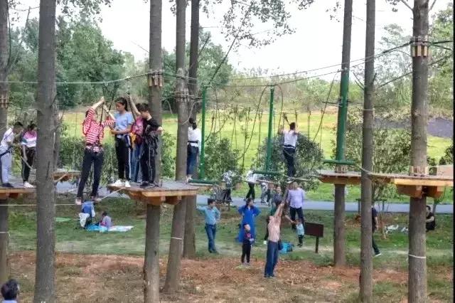 全国唯一的水上运动特色小镇,休闲旅游特色小镇