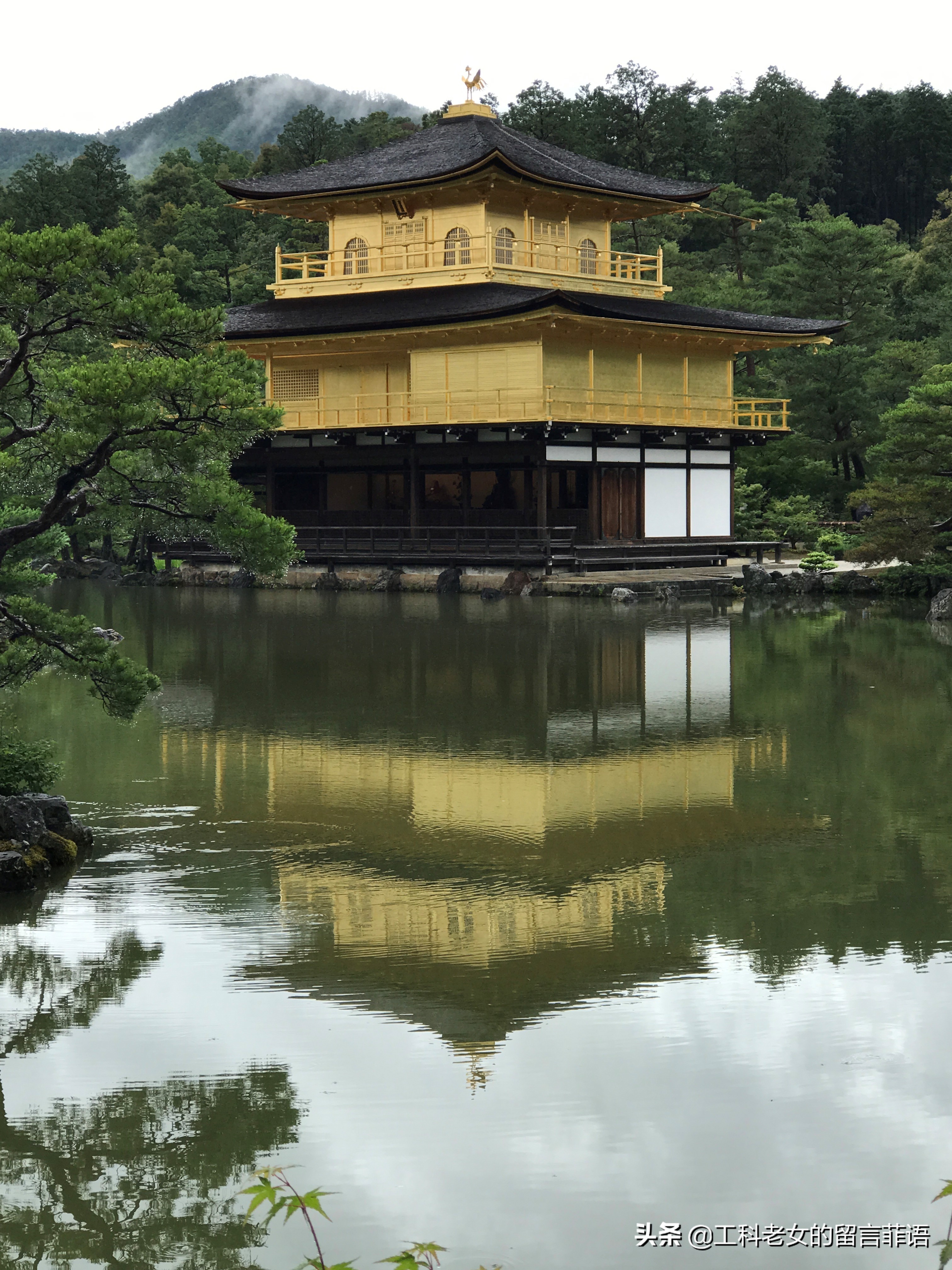 夏天去京都注意哪些事项,盛夏去哪玩