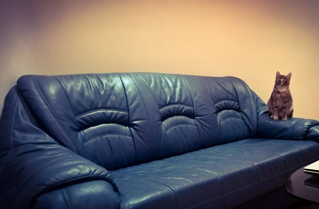 真皮沙发破损修复补漆,真皮沙发掉皮修复能看出来么