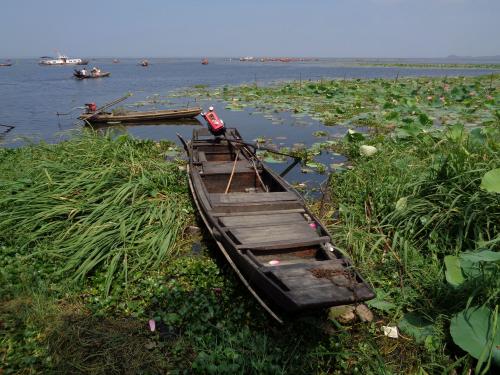 风波不信菱枝弱整首诗意思,风波不信菱枝弱全文