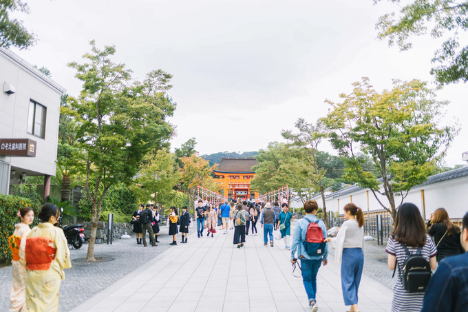 伏见稻荷大社怎么去清水寺,伏见稻荷大社到清水寺远吗