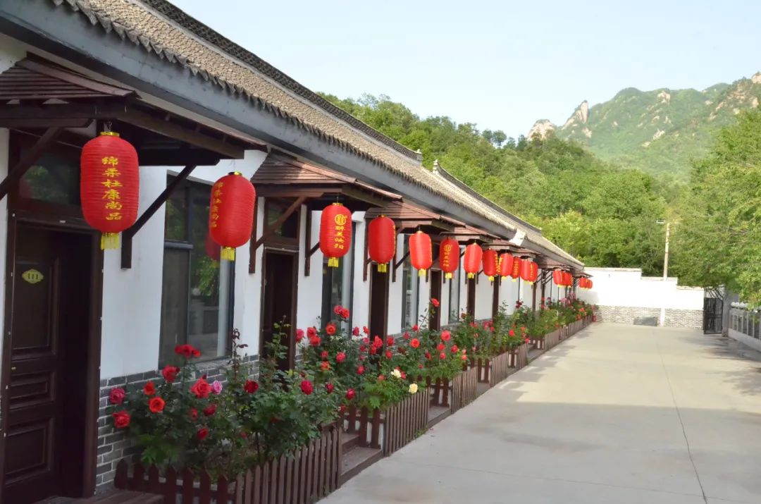 洛阳附近避暑山庄,洛阳最美避暑山景区介绍