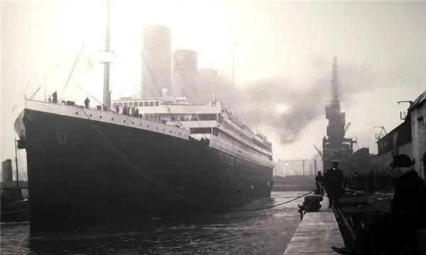 海豚“杰克”在暗礁海域为船只引航41年，爱让我们更懂得善待生命