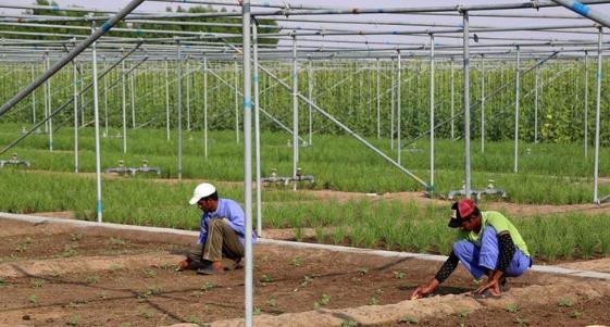 做生意的浙江商人在迪拜 (在温州的迪拜商人)
