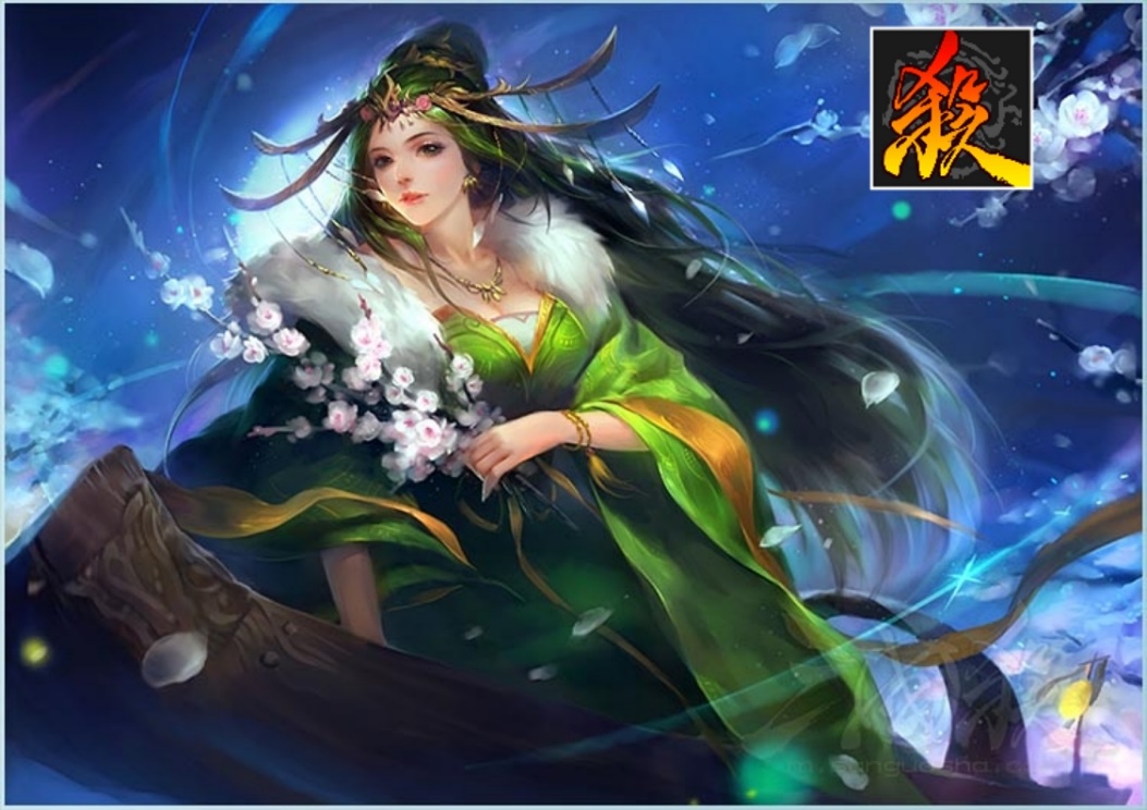 三国杀向宠解析,三国杀独特的一套审美