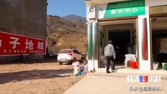 云南核桃批发价是多少钱一斤,云南的核桃价格多少一斤