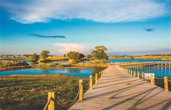 原来它才是身体最大的杀手！建议收藏