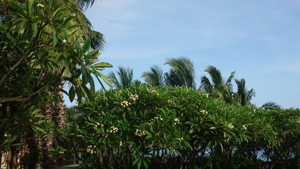 一场一个人说走就走的旅行,来一场旅行开启所有的美好