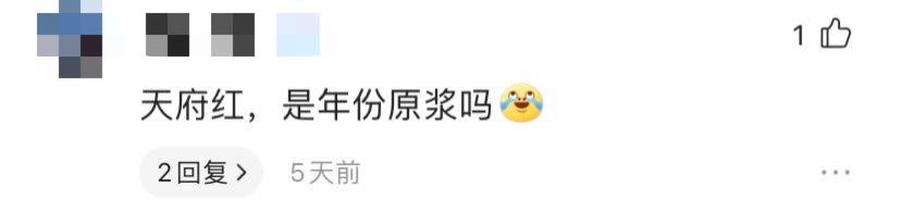 天府红天府广场路线,从天府广场到天府红