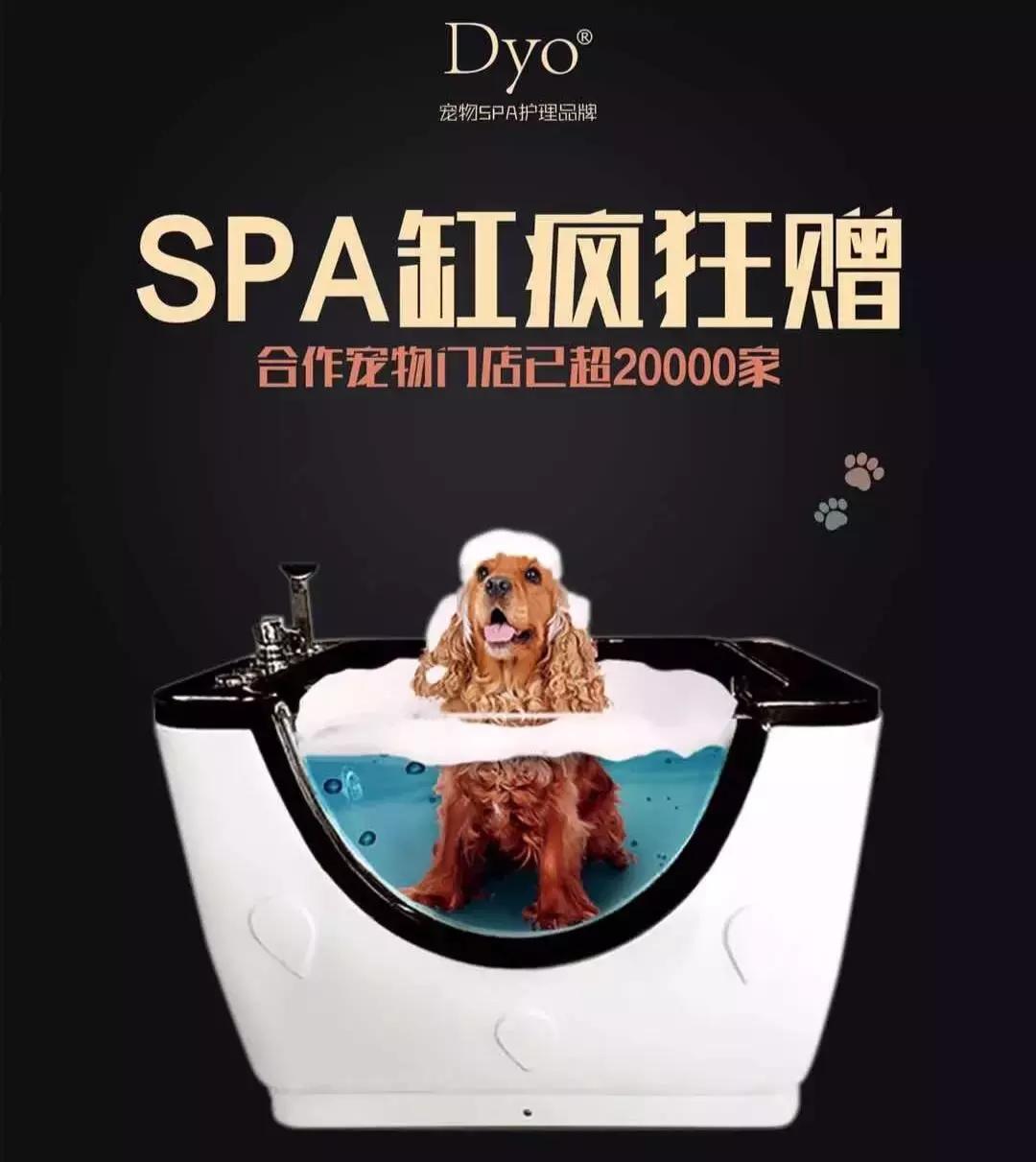 宠物店如何一年内赚到100万,宠物店如何业绩翻倍