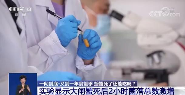螃蟹冷冻死了4个小时还能吃吗,螃蟹死了56个小时能吃吗
