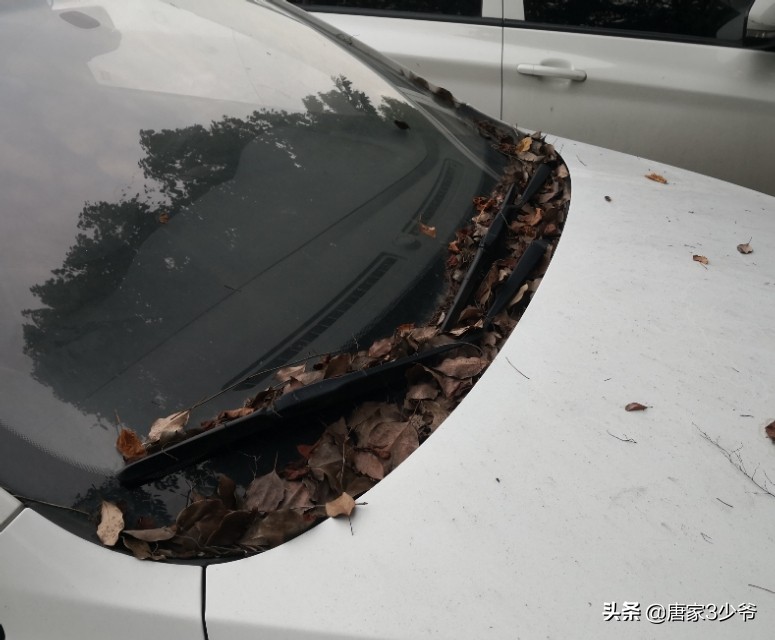 途观天窗漏水导致地胶下面全是水,17款途观l天窗漏水问题怎么解决