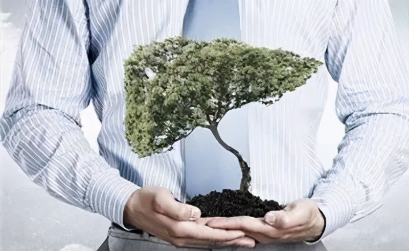 肝不好吃什么容易伤肝,肝不好别着急两招教你保护好肝脏