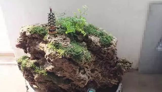 养花种植技术大全及配土,家庭养花如何使用绿沸石配土