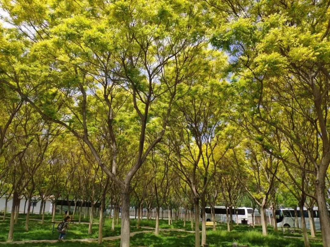 2019西北民族大学预科,高考志愿西北民族大学