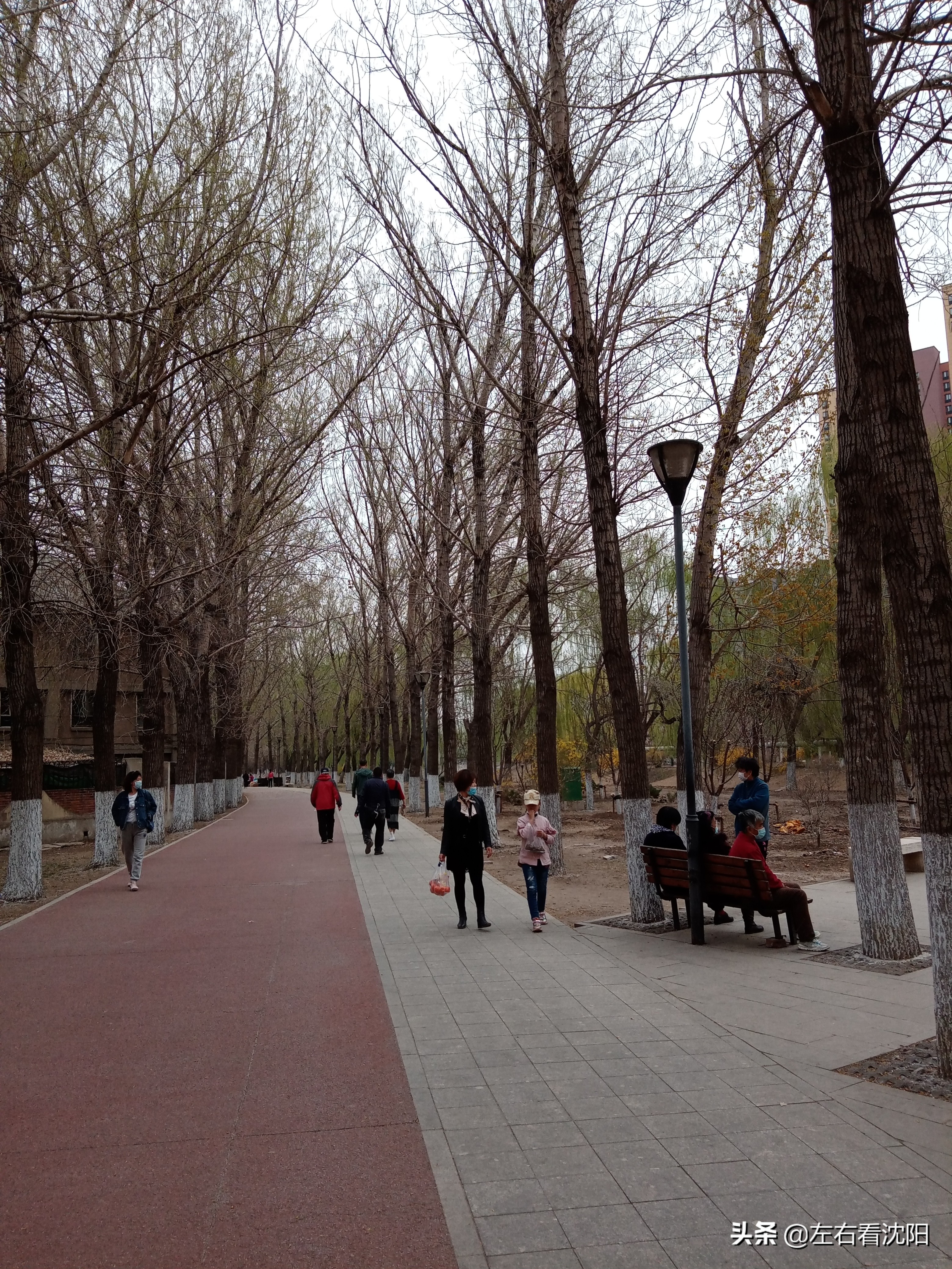 沈阳黎明公园,沈阳大东区黎明公园