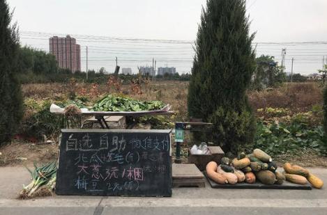 299鍚嶅珜鐤戜汉鎺掗槦鑷鍚庣画,299鍚嶆秹妗堝珜鐤戜汉鎺掗槦鎶曟鑷