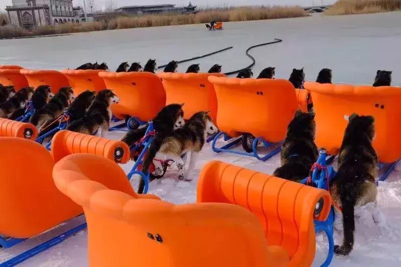 宁夏71个最美一日游打卡地,宁夏旅游一日游最佳攻略图