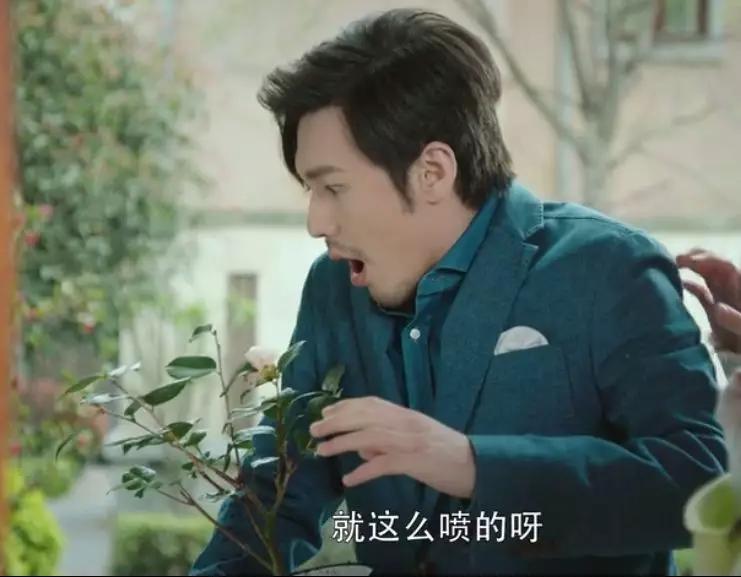 从冤家到恋人电视剧,从冤家到恋人电影