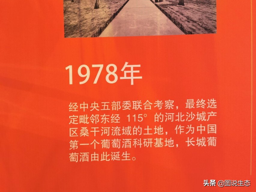 长城葡萄酒:用品质和担当讲述葡萄酒的东方故事,不再迷信波尔多