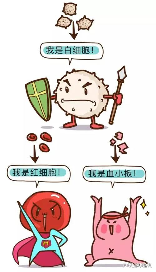 肿瘤化疗为什么造成白细胞障碍,肿瘤化疗后怎么缓解痛苦