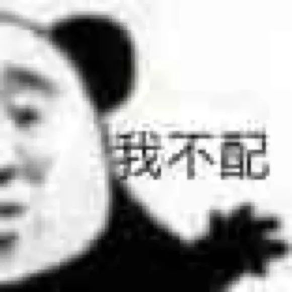 羽绒服中的爱马仕直播,羽绒服品牌爱马仕