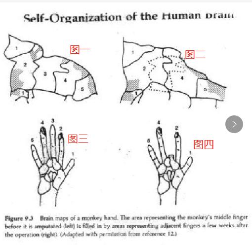 意识是如何运作的？本文将颠覆你的认知