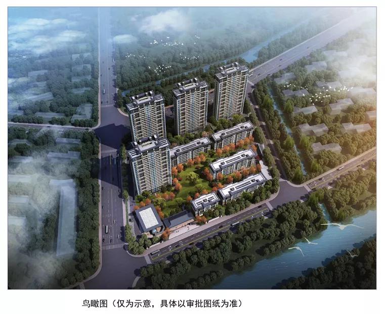 苏州黑马,苏州黑马板块