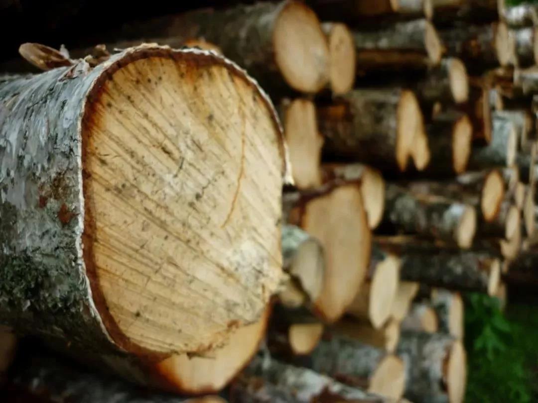 原木实木家具定制效果图,什木坊整体家装