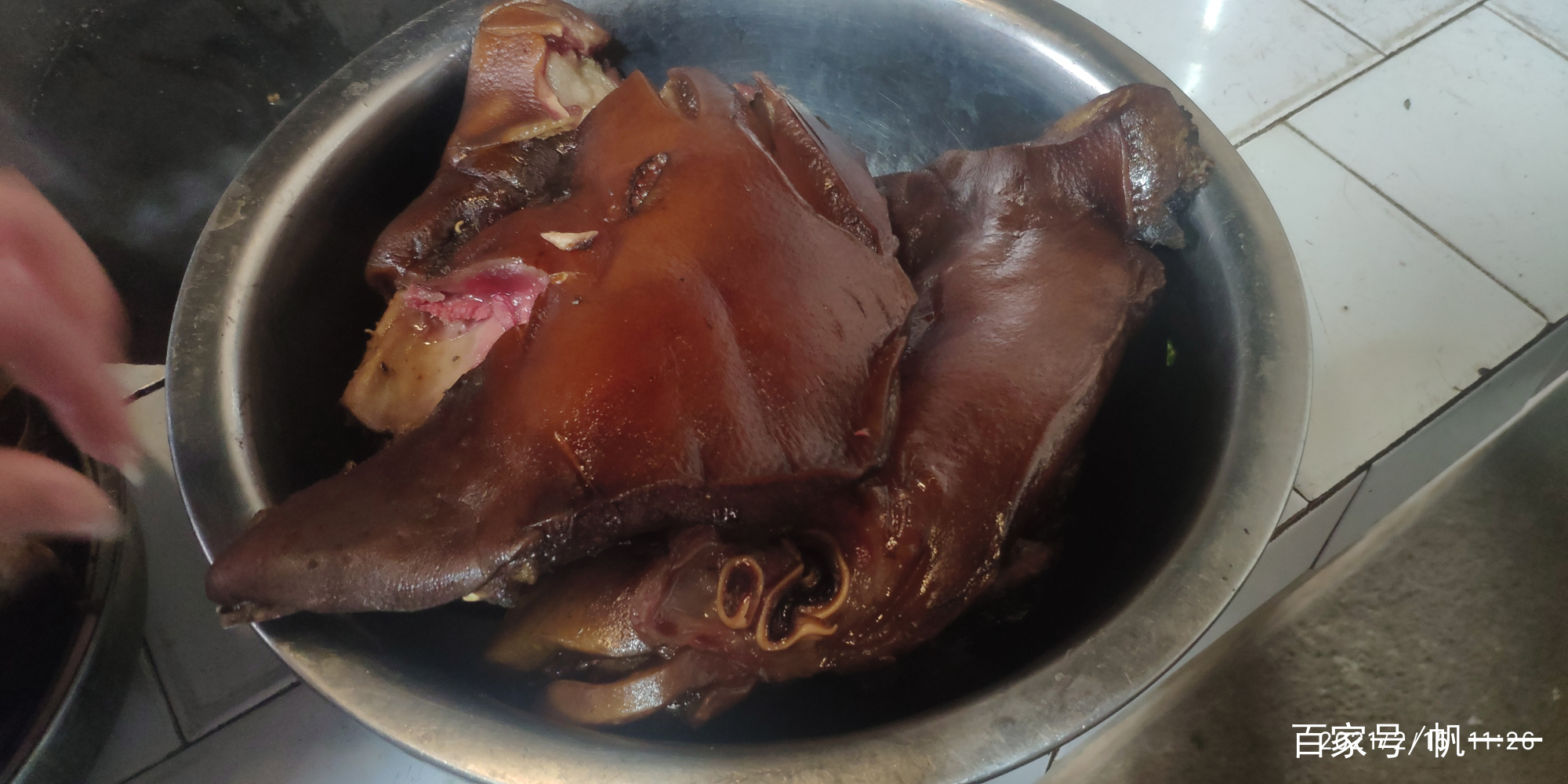 猪头和猪尾是黑色的叫什么猪,猪头和猪是一个意思吗