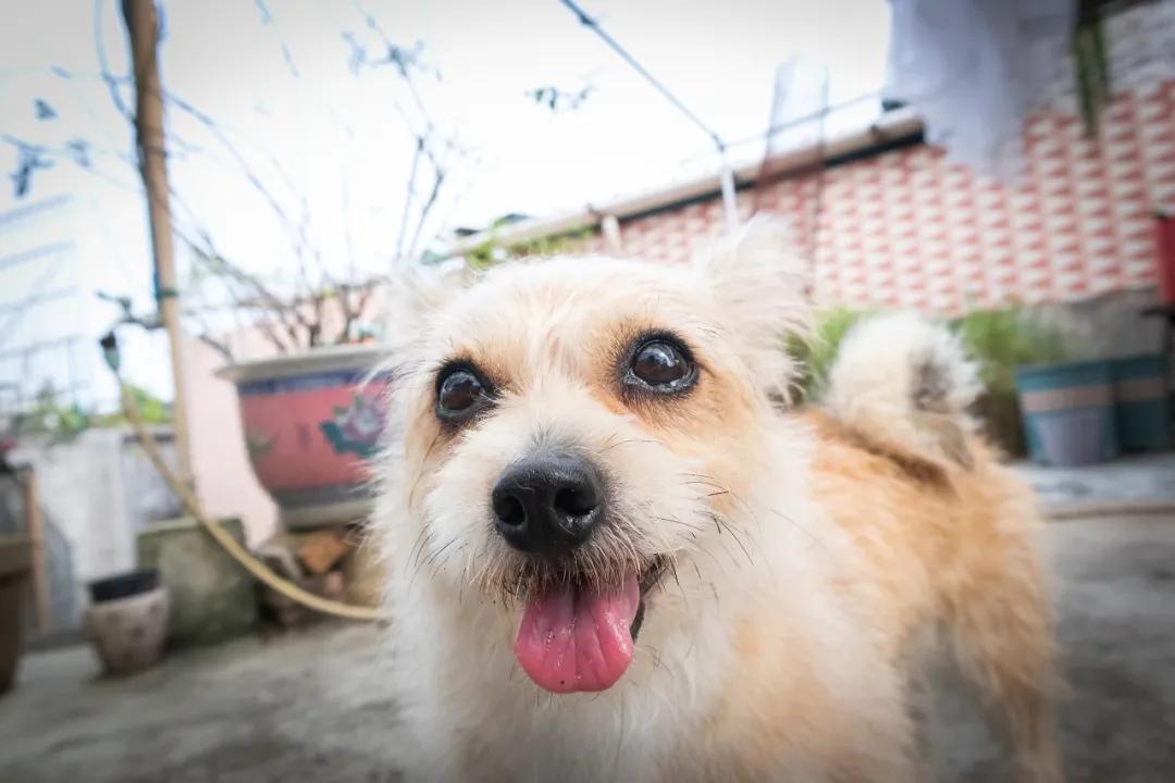 后期投入少的微单推荐,现在入手微单合适