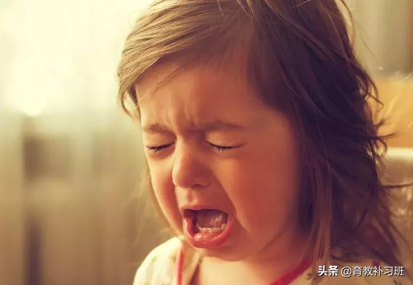 9岁女童遭猥亵：不要认为“孩子太小了，和她说也不懂”