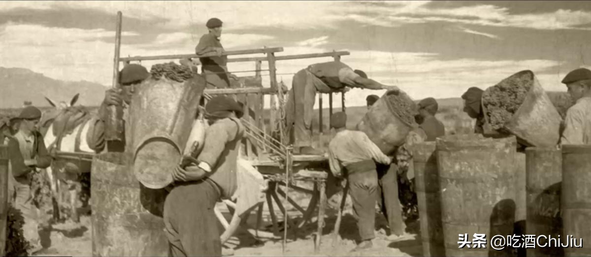 里奥哈葡萄酒好年份,里奥哈红酒