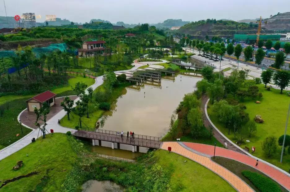 喜报创历史新高,喜讯升级一级子公司