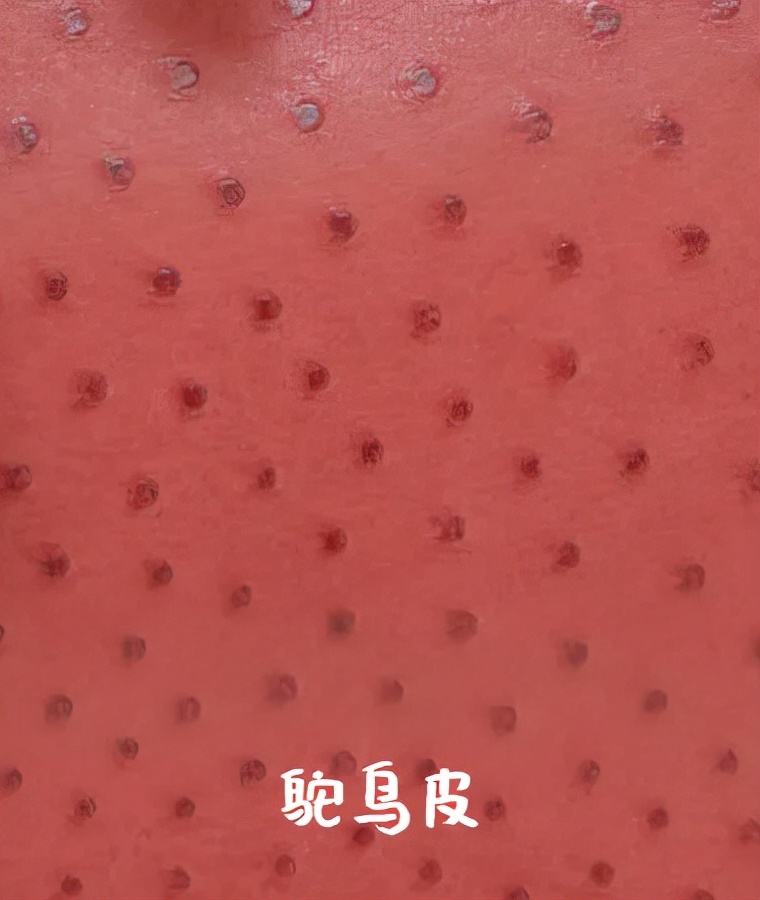 一次搞懂爱马仕包包全系列,爱马仕十大经典入门级包包排行