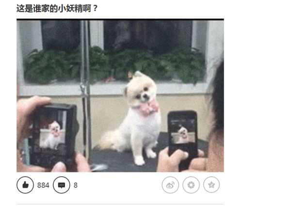 新媒体运营工具新手必备,新媒体运营必备的实用工具