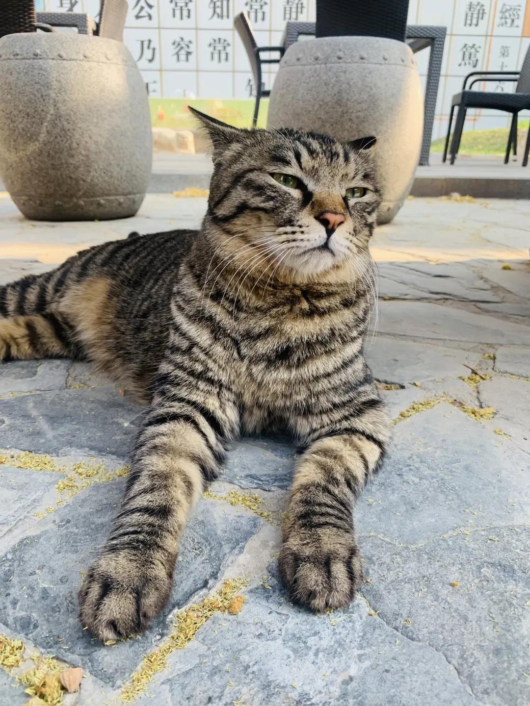 大家期盼的真实事件,掉缸事件怎么处理