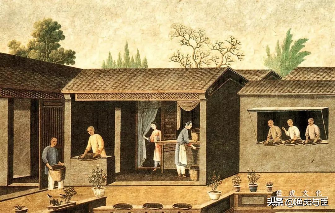 茶杯见证中国茶文化的演变历程,中国茶文化的历史和现状