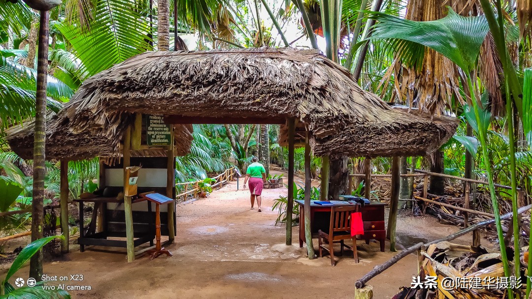 塞舌尔克里奥尔人,人间伊甸园云赏奢华度假地塞舌尔