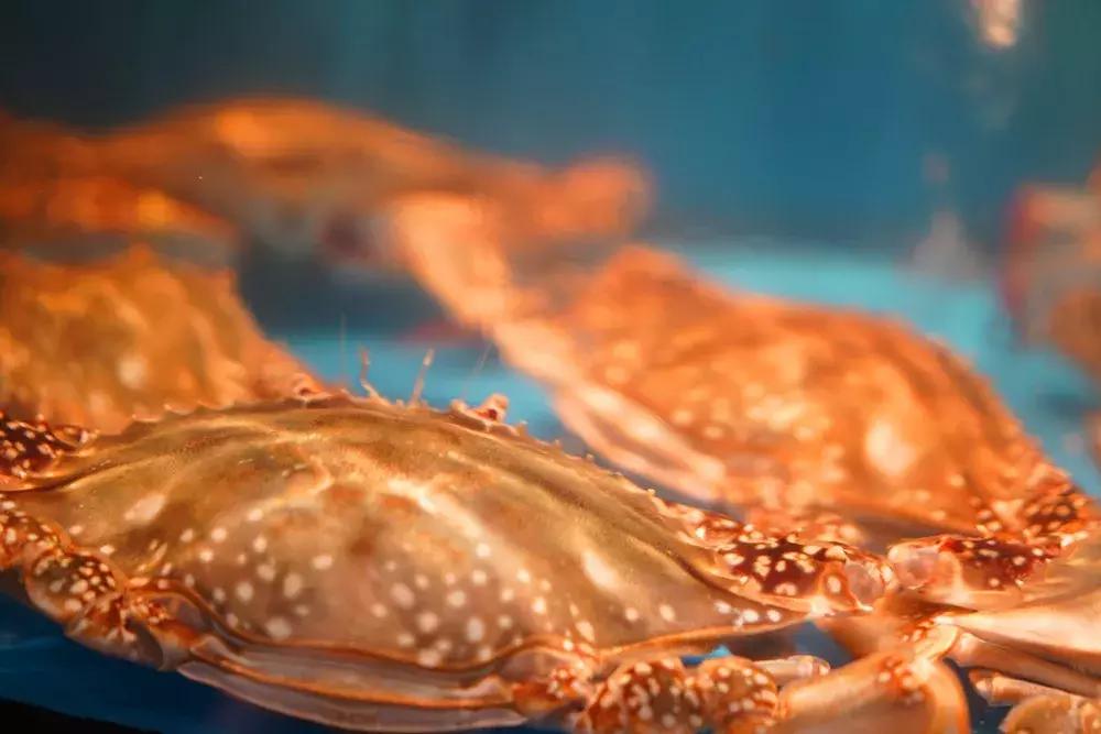 舟山一线海景酒店,舟山铂尔曼酒店婚宴