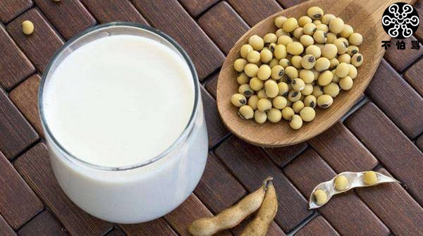 正常人可以天天喝豆浆,大人经常喝豆浆会怎么样